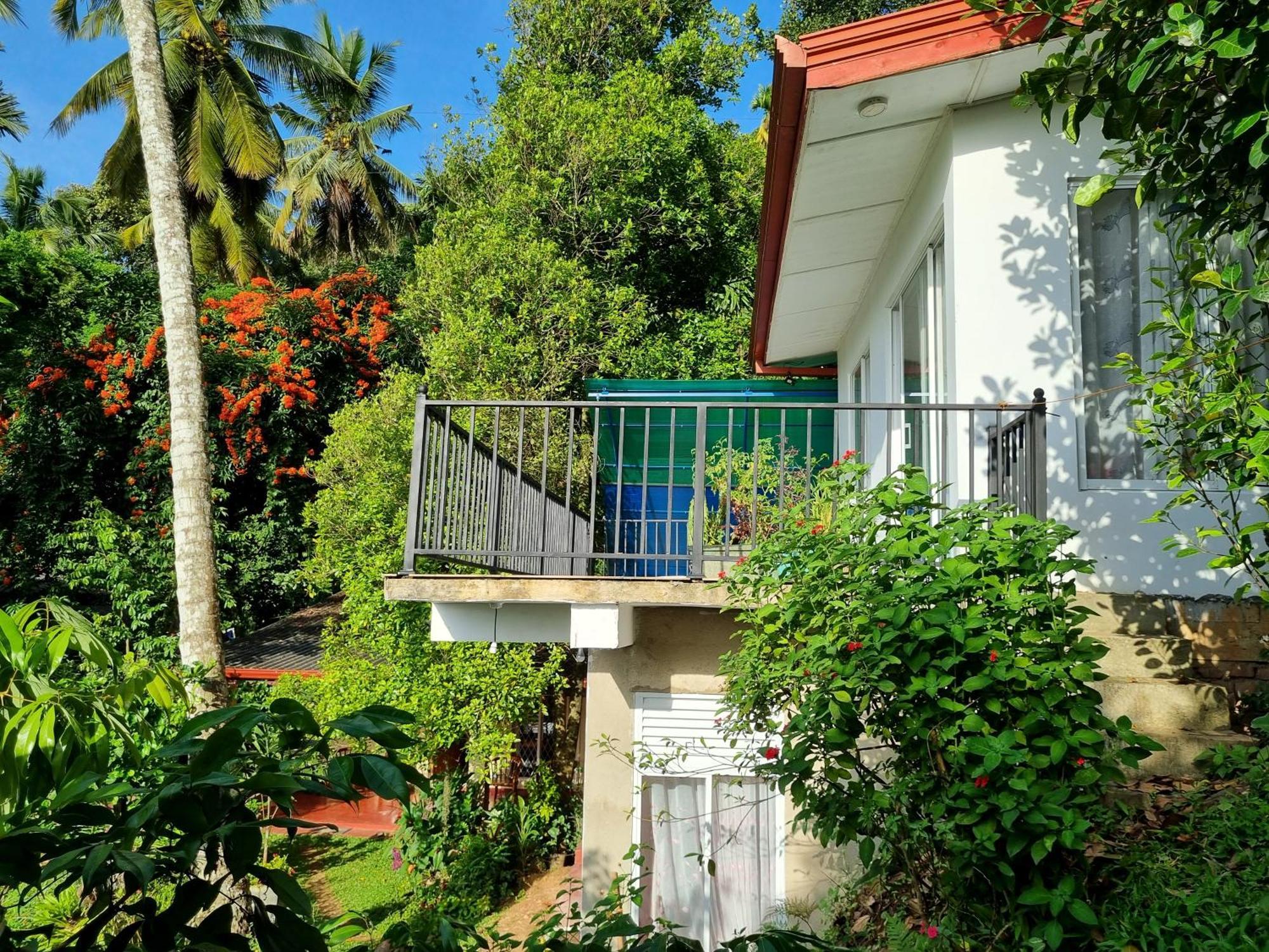Hotel Squirrel'S Nest Kandy Exterior foto